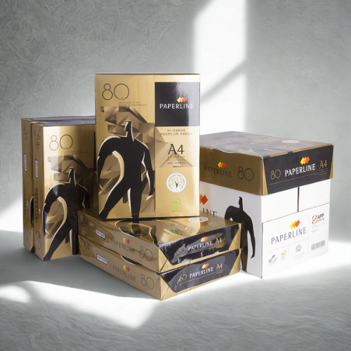 PaperLine 70 GSM A4 Copier Paper – Pack of 10 Reams | Premium Quality